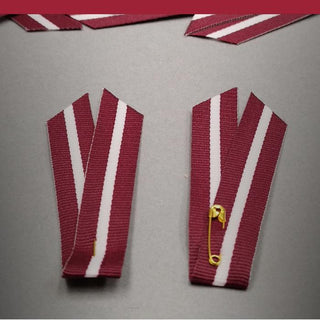 Patriotu piespraudes